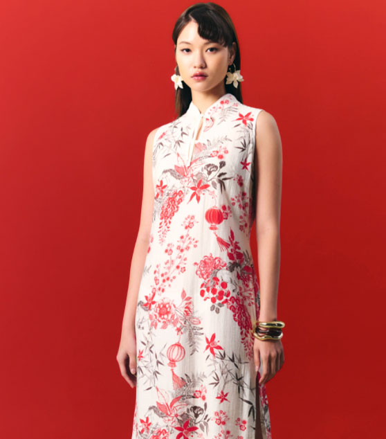 AIIZ Women's Trail of Blessings Printed Dress