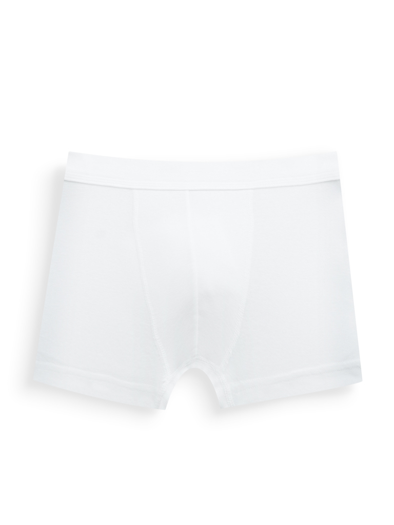 Men's Underwear Boxer Brief