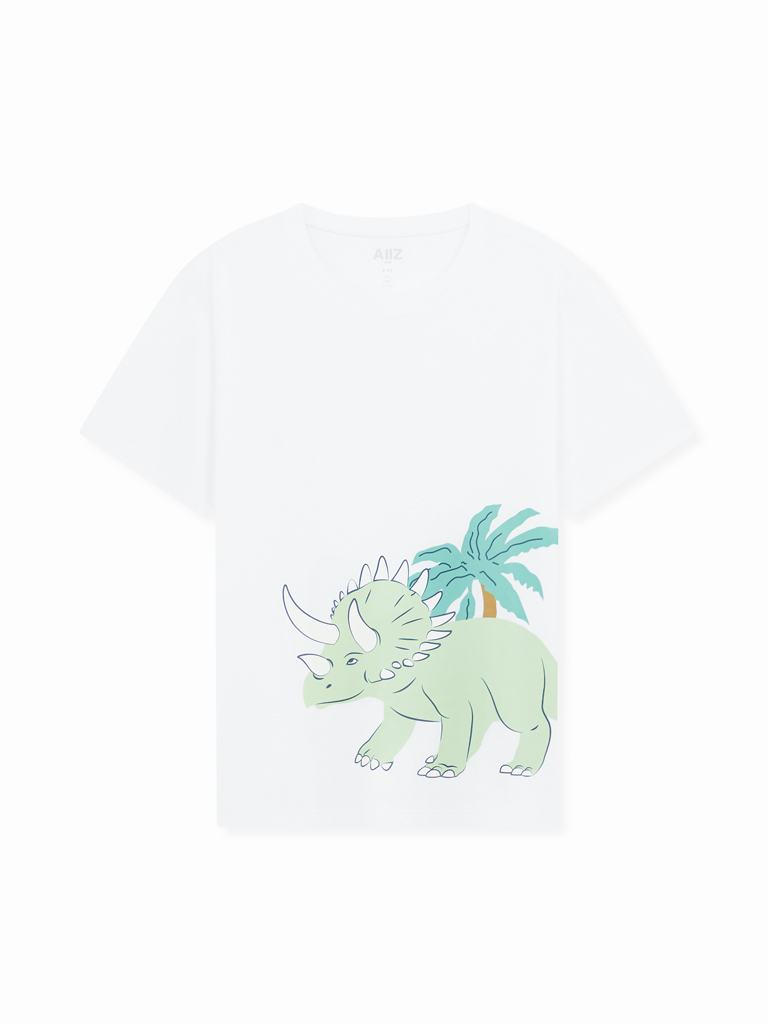 Boy's Graphic T-Shirts