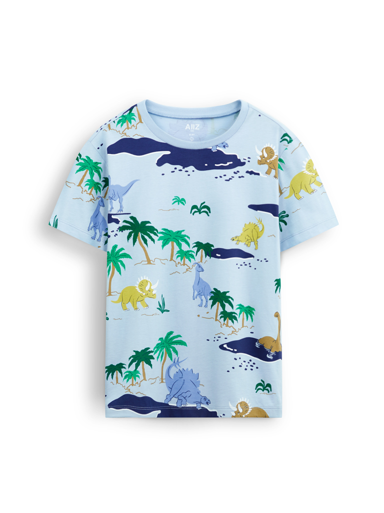 Boy's Printed T-Shirt